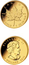 Gold coin : Maple Leaf